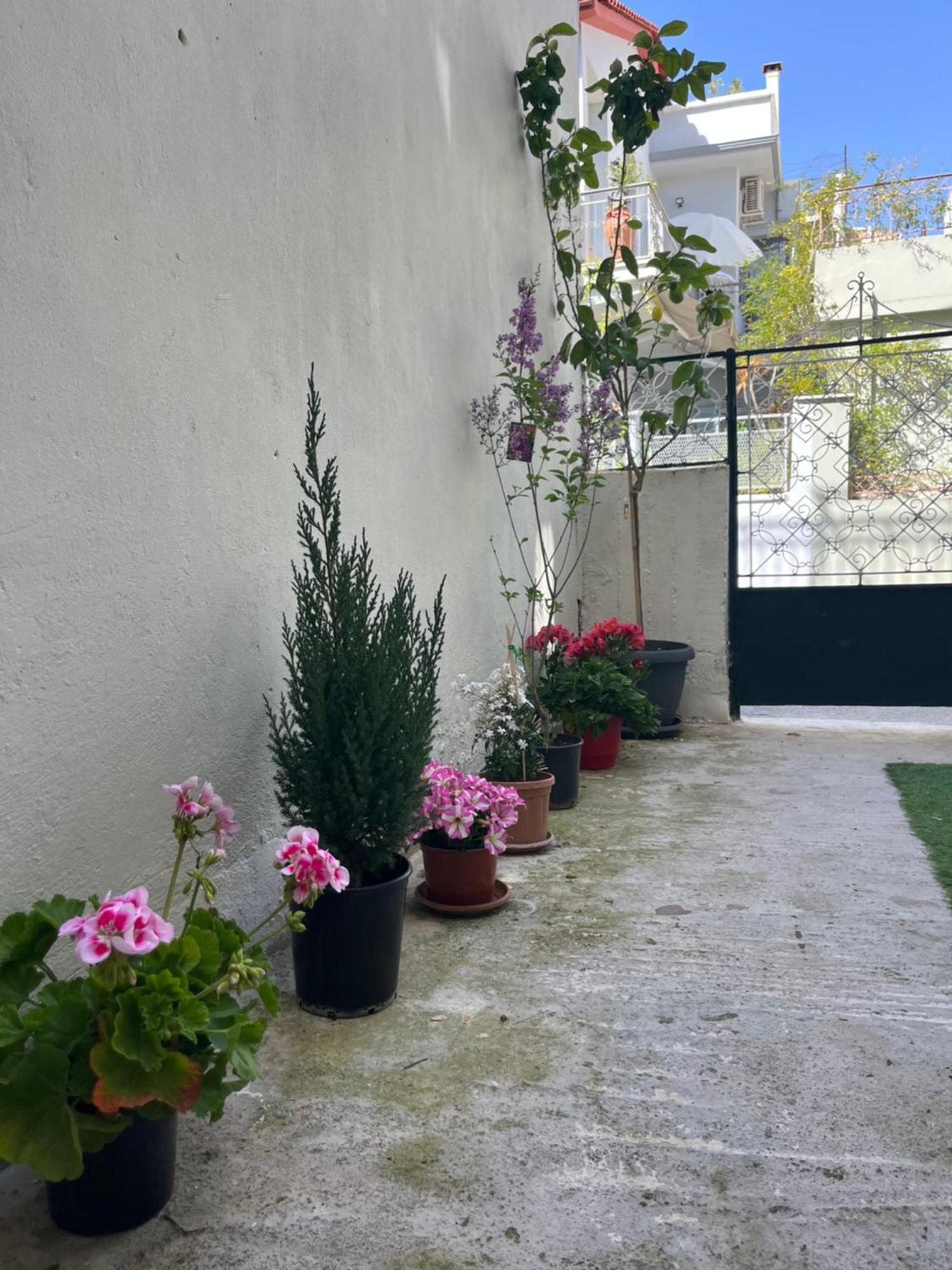Noa - Designed Garden Studio In The City Center Kalamata Exterior foto